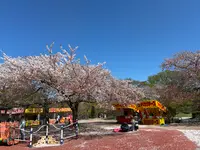松ヶ岡公園の写真・動画_image_811931