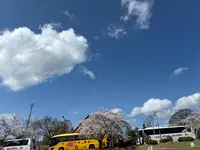 三春町運動公園の写真・動画_image_811950