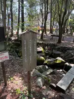 井の頭恩賜公園の写真・動画_image_812156