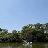 井の頭恩賜公園の写真・動画_image_812157