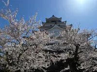 鶴ヶ城（若松城）の写真・動画_image_812296