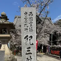 紀三井寺の写真・動画_image_812590