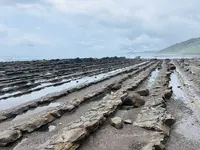 道の駅 フェニックスの写真・動画_image_812902
