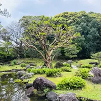 日本庭園 日向景修園の写真・動画_image_812908