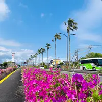 日本庭園 日向景修園の写真・動画_image_812910