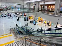 鹿児島空港の写真・動画_image_812992