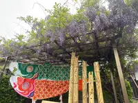 泉南石綿の碑の写真・動画_image_813387