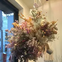 Un cinq アンサンクの写真・動画_image_81341