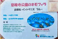 うなぎの美鶴の写真・動画_image_813881