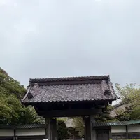 藩校致道館の写真・動画_image_815337