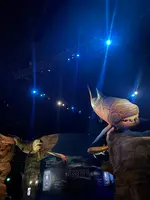 S.E.A. Aquariumの写真・動画_image_815543