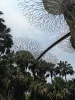 ガーデンズ・バイ・ザ・ベイの写真・動画_image_815606