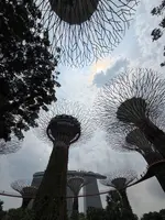 ガーデンズ・バイ・ザ・ベイの写真・動画_image_815607
