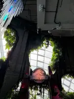 ガーデンズ・バイ・ザ・ベイの写真・動画_image_815612