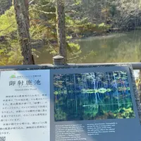 御射鹿池の写真・動画_image_815813