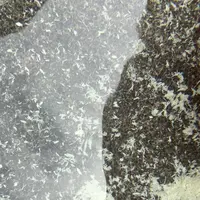 深山荘の写真・動画_image_815819