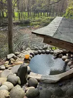 上の湯温泉 銀婚湯の写真・動画_image_815954
