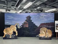 渋谷BEAMの写真・動画_image_816389