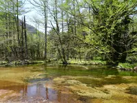 田代池の写真・動画_image_817244