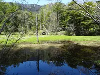 ウェストン碑の写真・動画_image_817257
