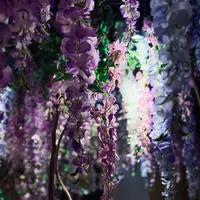 TOKYO NODEの写真・動画_image_817535