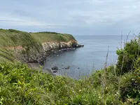 城ヶ島公園の写真・動画_image_818353