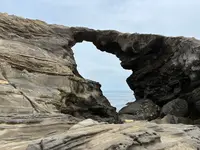 城ヶ島 馬の背洞門の写真・動画_image_818355