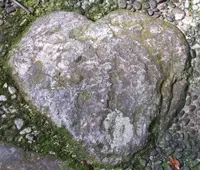 瀧原宮の写真・動画_image_81947