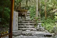 恵利原の水穴の写真・動画_image_81952