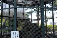 小田原城の写真・動画_image_81984