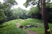 石垣山一夜城の写真・動画_image_81996