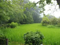 大田神社の写真・動画_image_82037