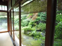 茶寮 宝泉の写真・動画_image_82043