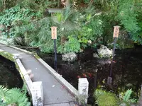 居醒の清水の写真・動画_image_820705