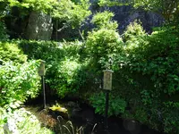 居醒の清水の写真・動画_image_820706