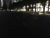 グランモール公園の写真・動画_image_82208