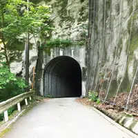 ユーシン渓谷の写真・動画_image_82238