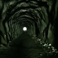 ユーシン渓谷の写真・動画_image_82241