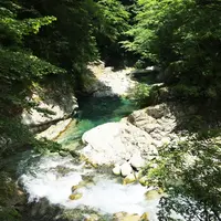 ユーシン渓谷の写真・動画_image_82242