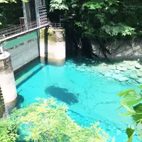 ユーシン渓谷の写真・動画_image_82243