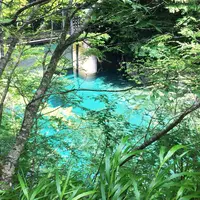 ユーシン渓谷の写真・動画_image_82244