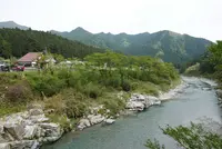 モネの池（名もなき池）の写真・動画_image_82277