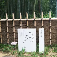 とらや工房の写真・動画_image_82297