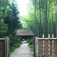 とらや工房の写真・動画_image_82298