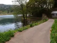 中綱湖の写真・動画_image_82330