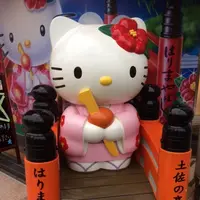 はりまや橋の写真・動画_image_82414