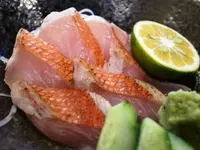 樹樹の写真・動画_image_82421