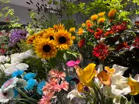 imperfect MARUNOUCHI ROASTERYの写真・動画_image_824602