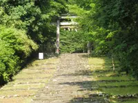 平泉寺白山神社の写真・動画_image_82512