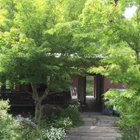 水辺のカフェ 三宅商店 酒津の写真・動画_image_82544